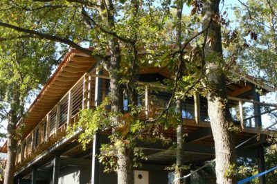 Maison Si - les-arbres-ont-ete-preserves